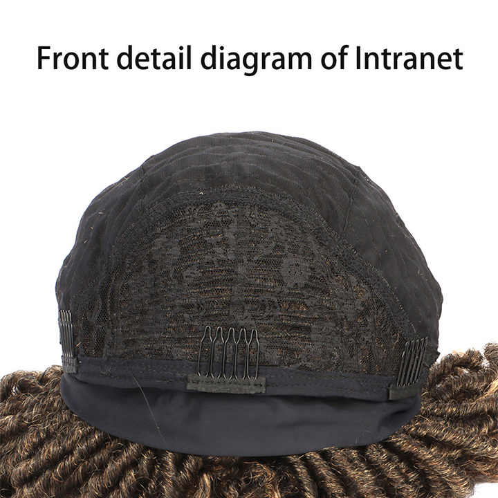 Wigs Black Women's Braided Wigs Heat Resistant Braided Hair