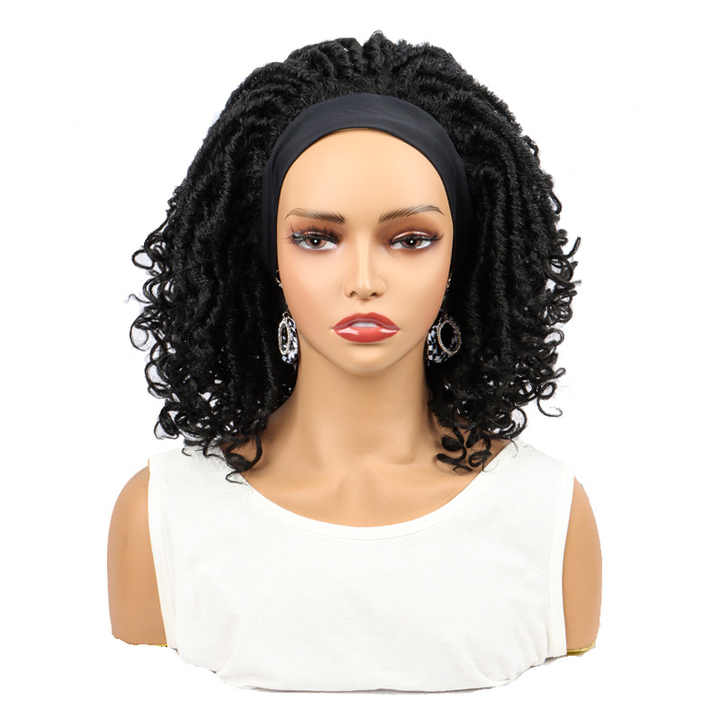 Wigs Black Women's Braided Wigs Heat Resistant Braided Hair